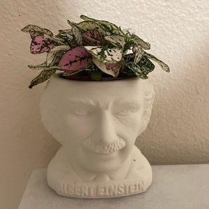 Meet your Posher, Fabiola